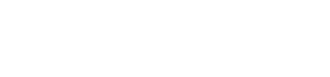 Logo mastersolution SHOW